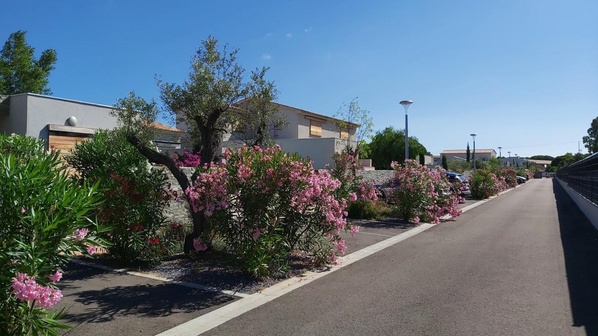 Villa HOME HOLIDAY à Cala Rossa Lecci Exterior foto